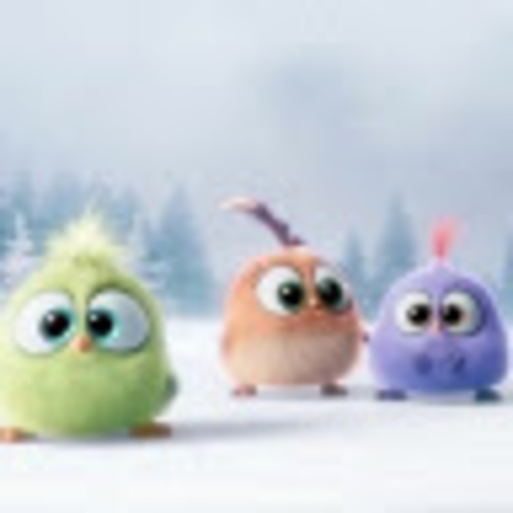 Meet your Posher, Maheen